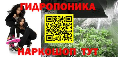 мдпв Дубна