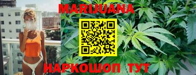 гашик Донской