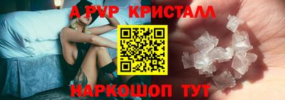 гашик Донской