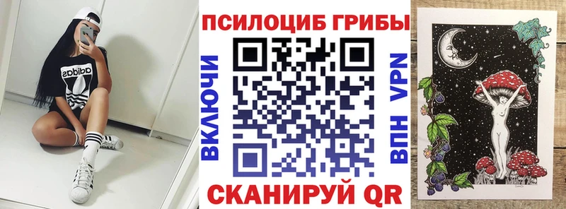 цена наркотик  Миасс  Галлюциногенные грибы Psilocybe 