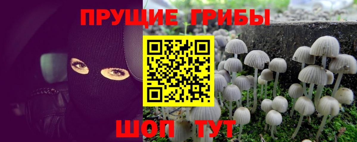 Псилоцибиновые грибы ЛСД Миасс