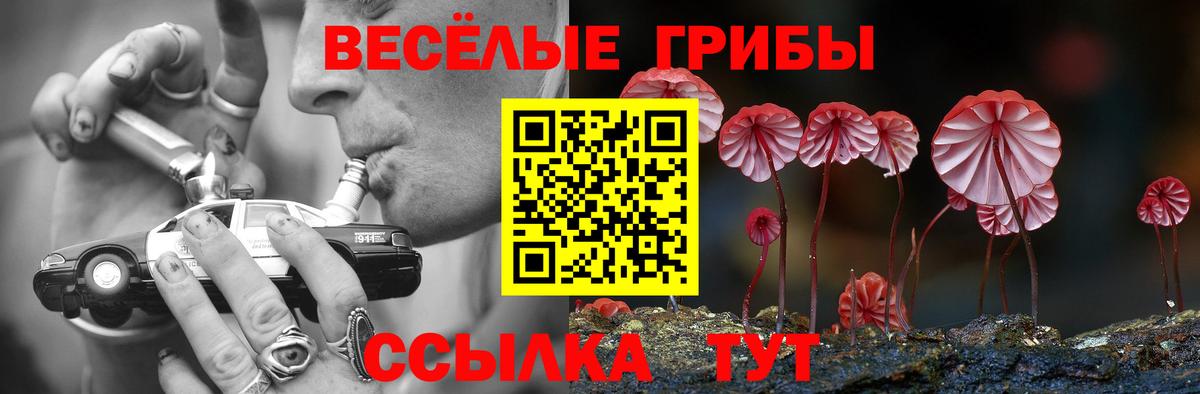 Миасс  Псилоцибиновые грибы Magic Shrooms  Псилоцибиновые грибы Magic Shrooms  Вход с VPN 